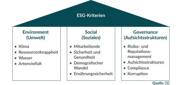 ESG-Kriterien definition und unterteilung