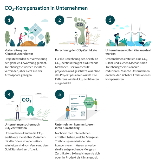 5 Schritte der CO2-Kompensation Klimaschutz