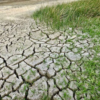 Klimawandel-Bild ausgetrockneter Boden mit Rissen