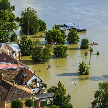 Klimawandel-Bild Überflutung der Donau