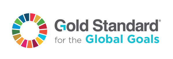 gold standard logo global goals