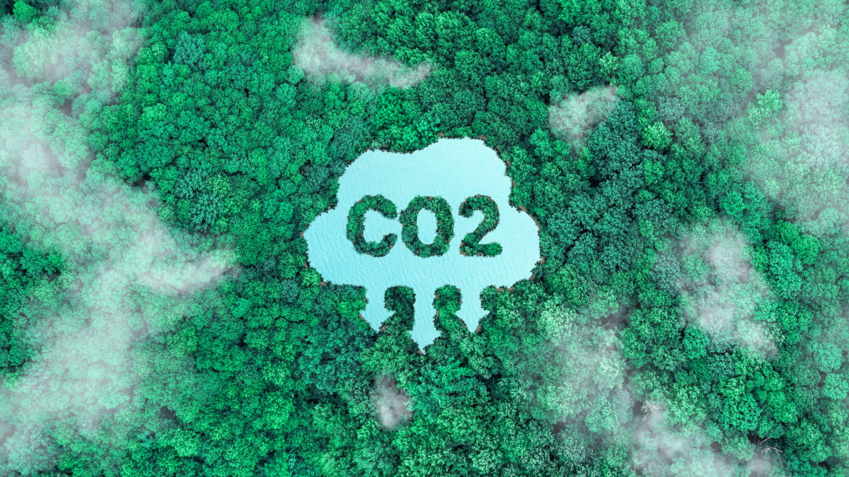 Die CO2-Bilanz ist der Grundstein für ein erfolgreiches Nachhaltigkeitsmanagement in Unternehmen