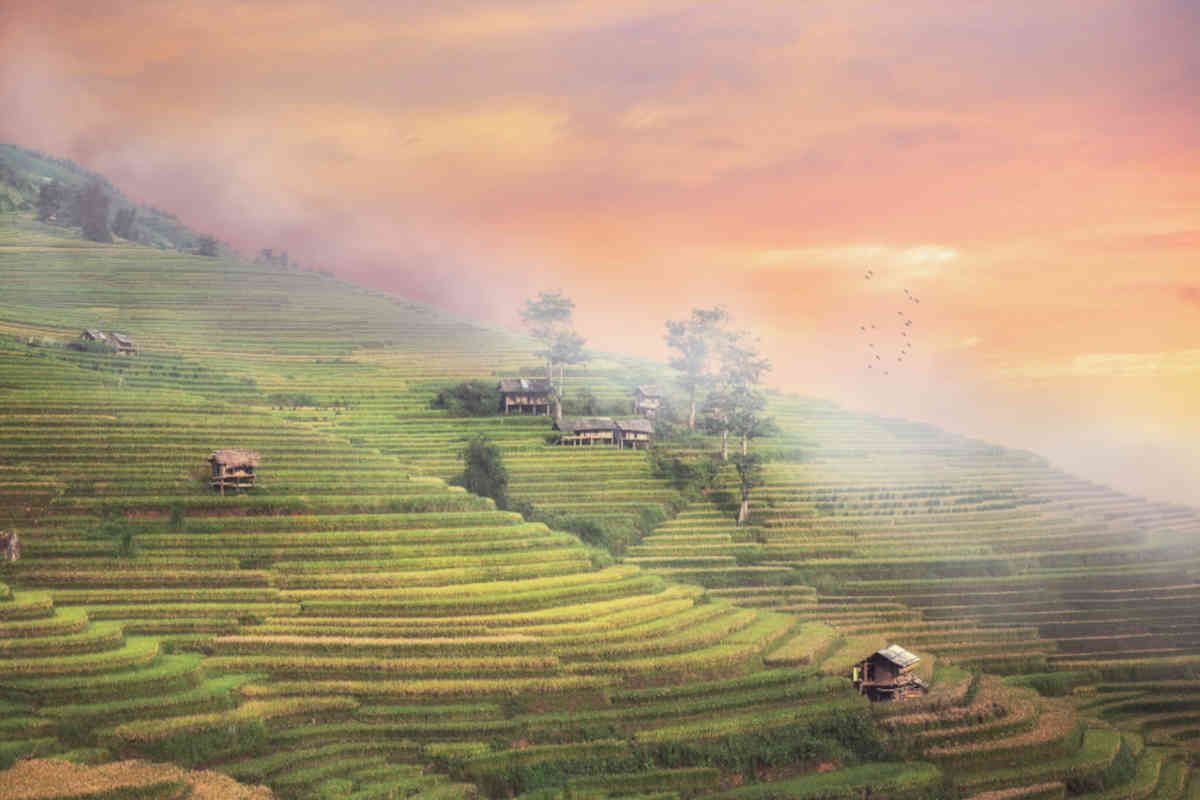 Landschaft in einem Gebiet der Agrarkultur